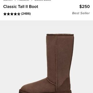 Brown Tall Uggs